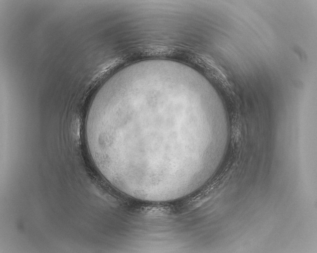 X0000115850115200912041737