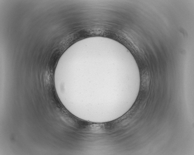 X0000115850126200912041737