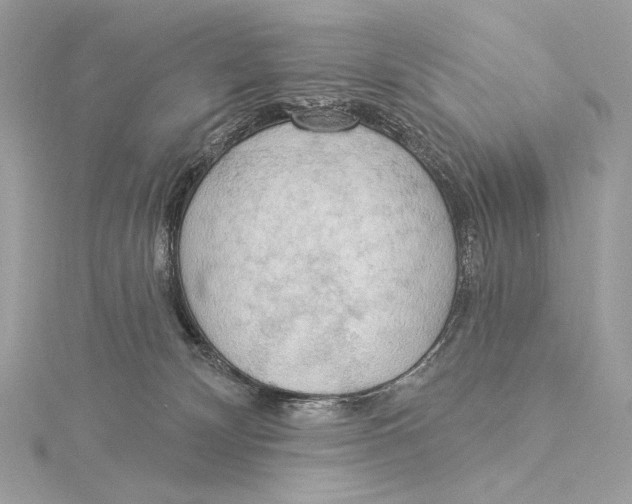 X0000115850132200912041737