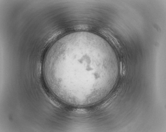 X0000115850157200912041736