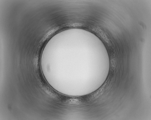 X0000115850159200912041736