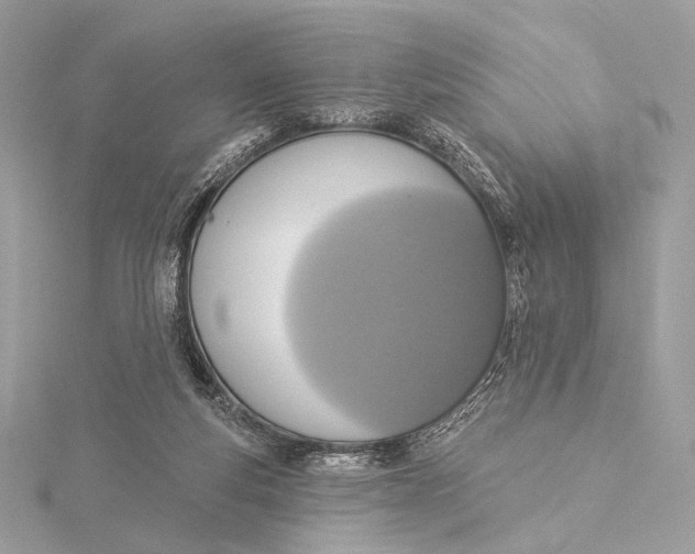 X0000115850163200912041736
