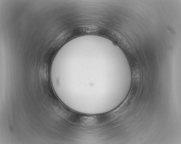 X0000115850170200912041736
