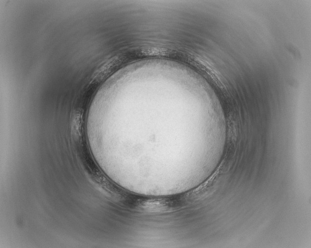 X0000115850171200912041736