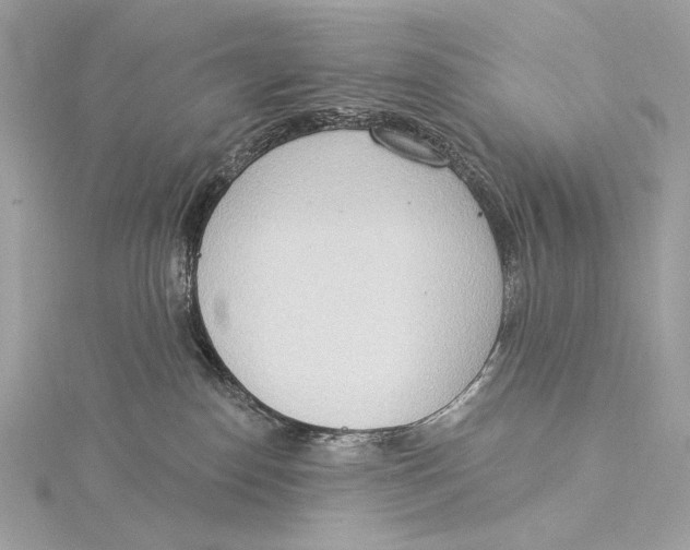 X0000115850186200912041737