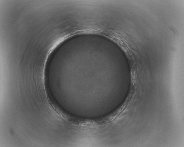 X0000115850196200912041736