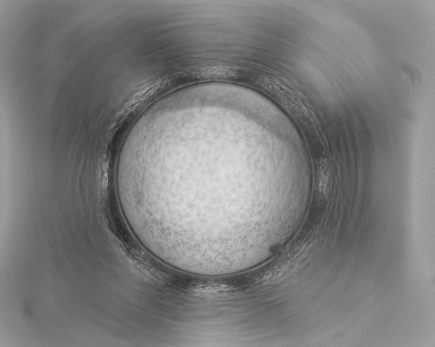 X0000115850206200912041736
