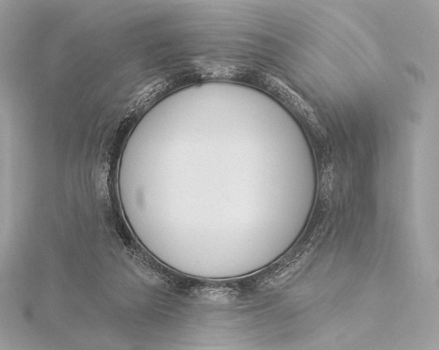 X0000115850209200912041736