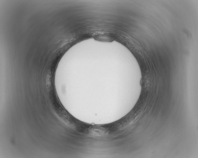 X0000115850215200912041736