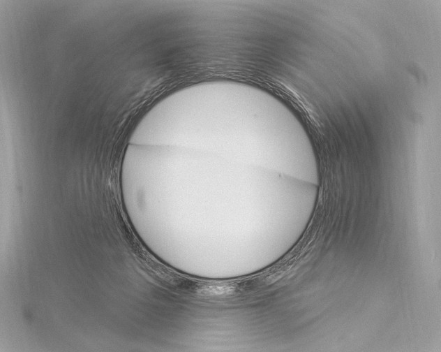X0000115850217200912041736