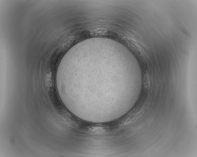 X0000115850224200912041736