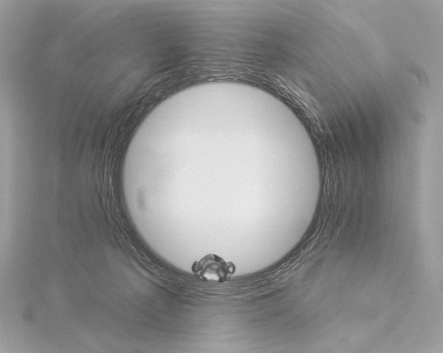 X0000115850225200912041736