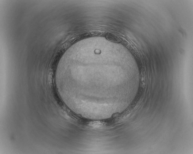 X0000115850231200912041735