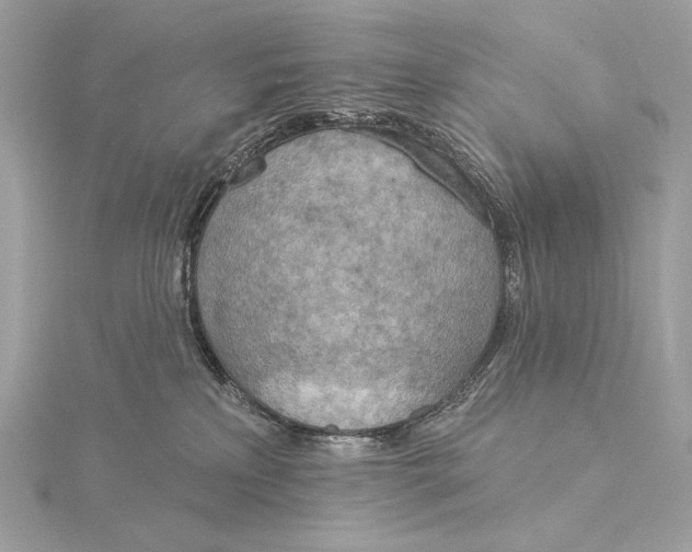 X0000115850233200912041735