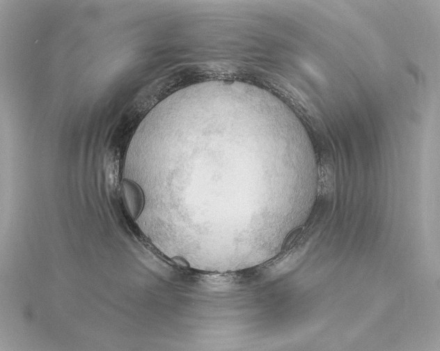 X0000115850238200912041735
