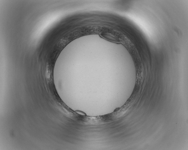 X0000115850239200912041735