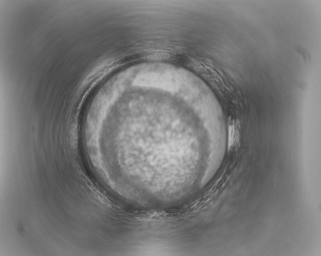 X0000115850243200912041735