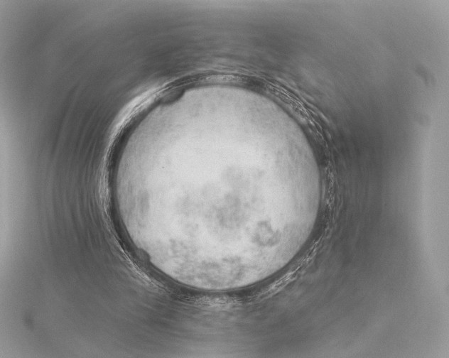 X0000115850245200912041735