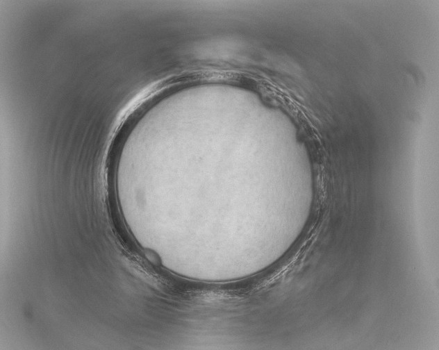 X0000115850246200912041735
