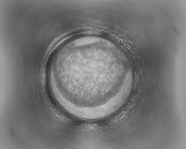 X0000115850247200912041735