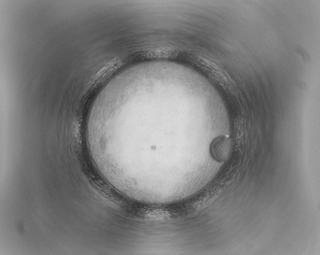 X0000115850258200912041735