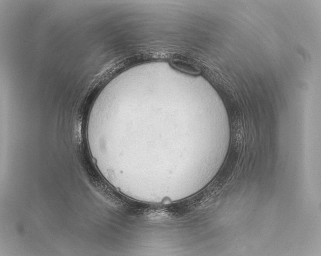 X0000115850262200912041735