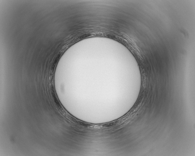 X0000115850273200912041735