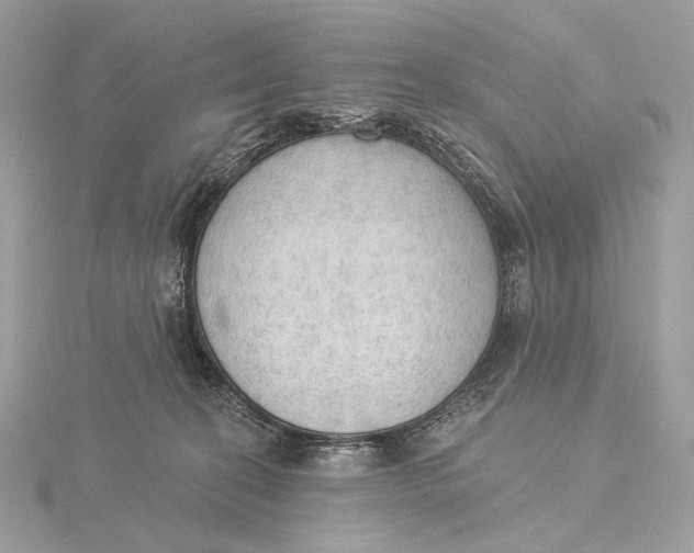 X0000115850274200912041735
