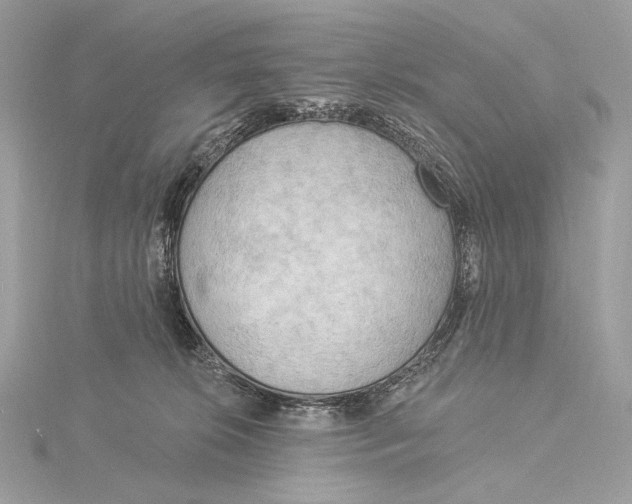 X0000115850276200912041735