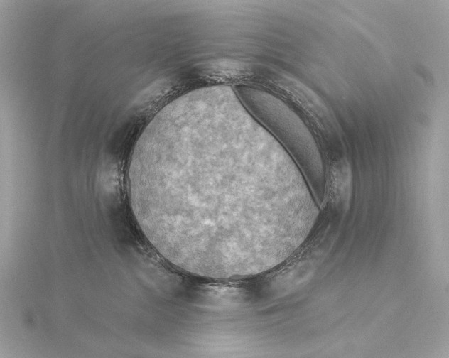 X0000115850284200912041735