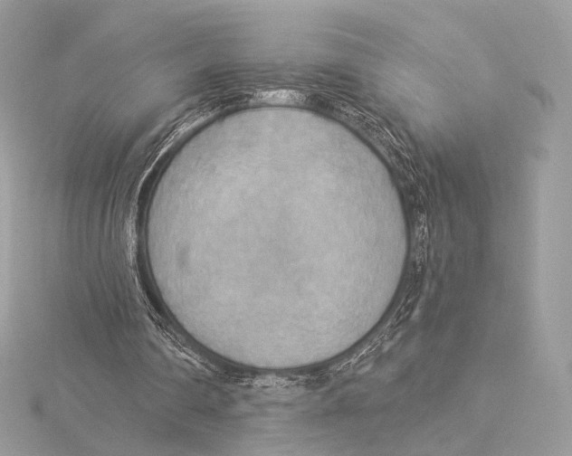 X0000115850290200912041735