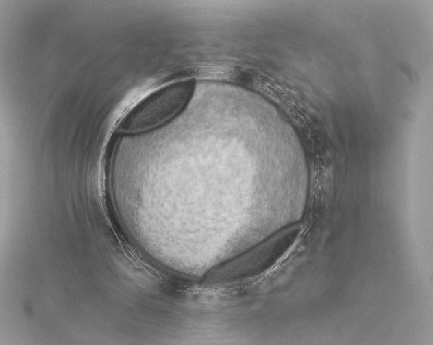 X0000115850294200912041735