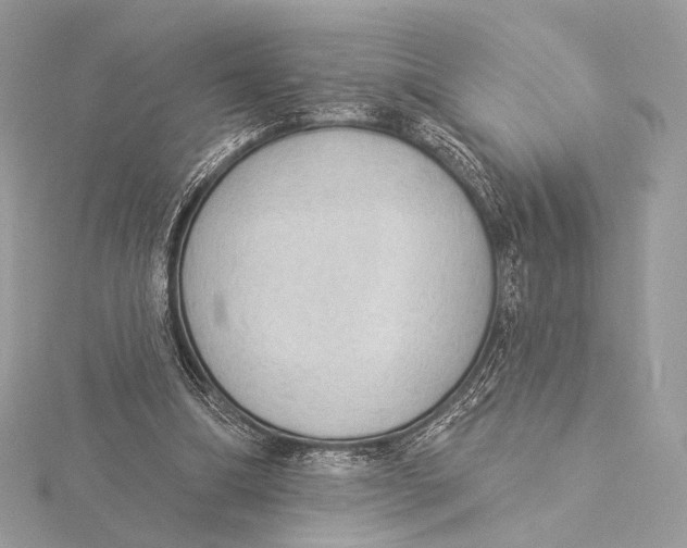 X0000115850298200912041735