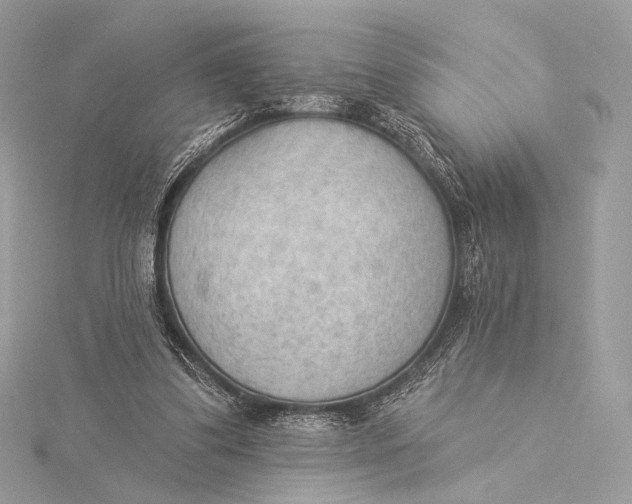 X0000115850299200912041735