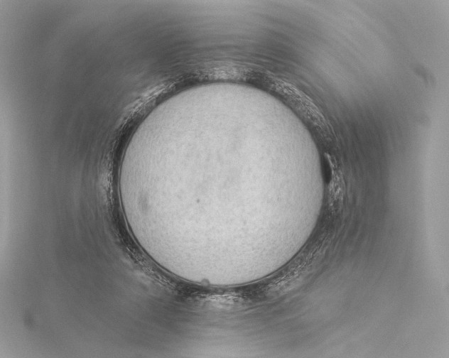 X0000115850306200912041734