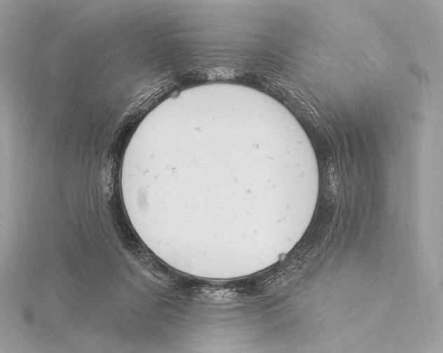 X0000115850311200912041734