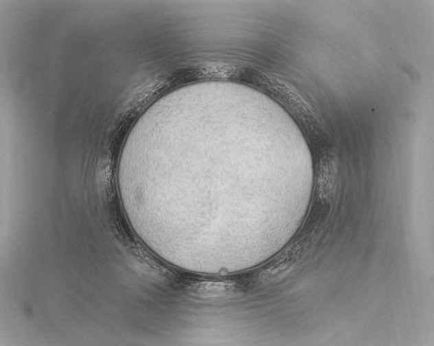 X0000115850314200912041734
