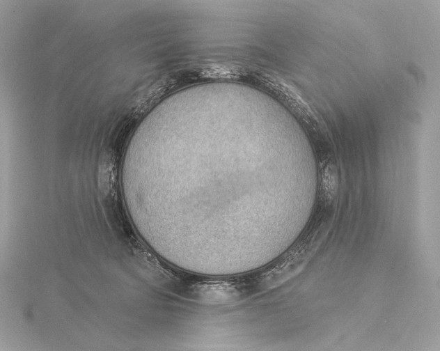 X0000115850322200912041734