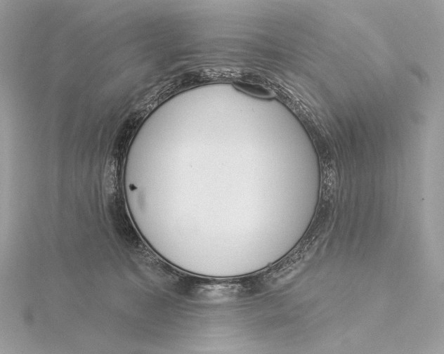 X0000115850323200912041734