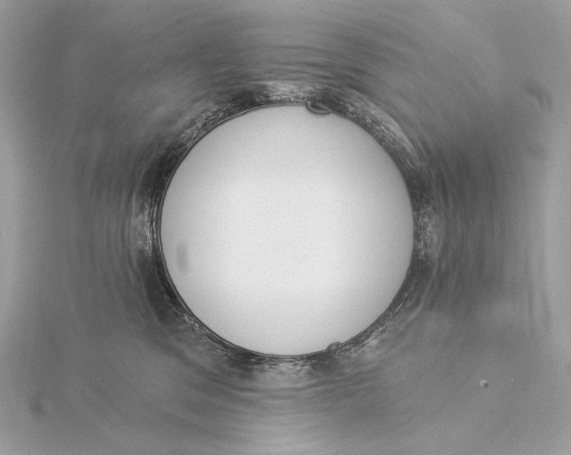 X0000115850329200912041734