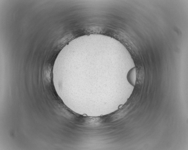 X0000115850334200912041734