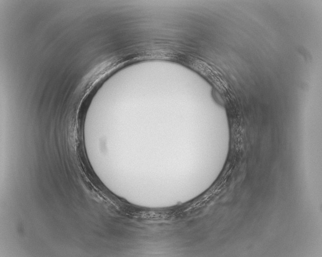 X0000115850338200912041733