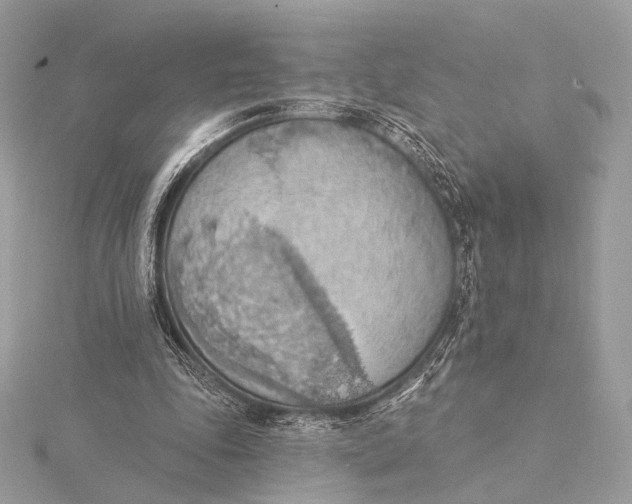 X0000115850343200912041733