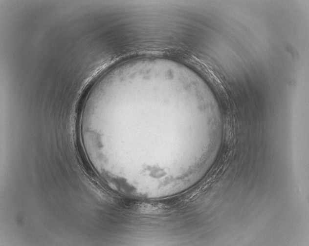 X0000115850346200912041733