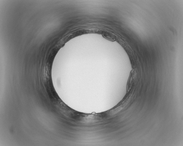 X0000115850382200912041734