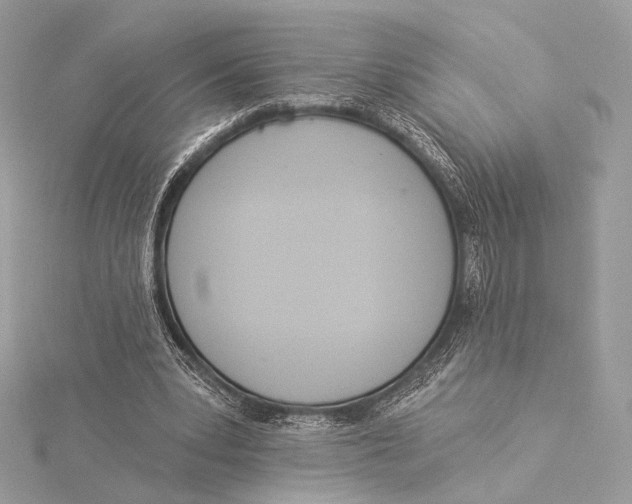X0000115850391200912041733