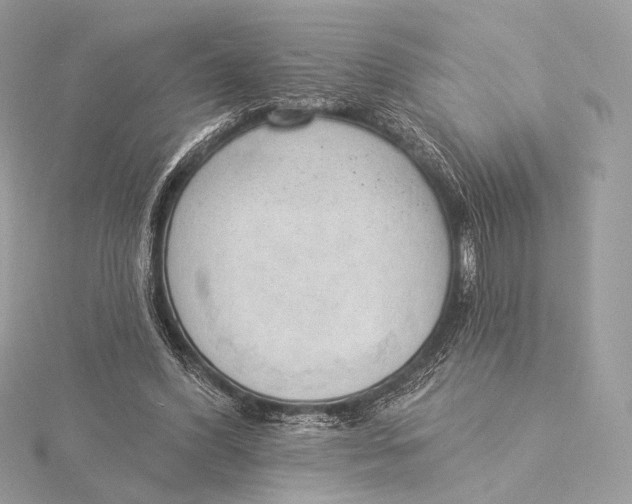 X0000115850396200912041733