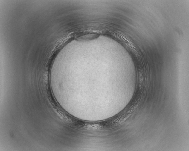 X0000115850401200912041733