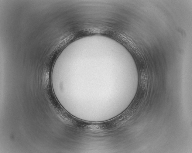X0000115850406200912041733