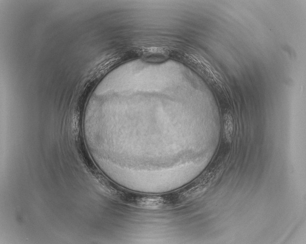 X0000115850410200912041733